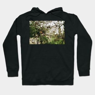 That Day In Spring Hoodie